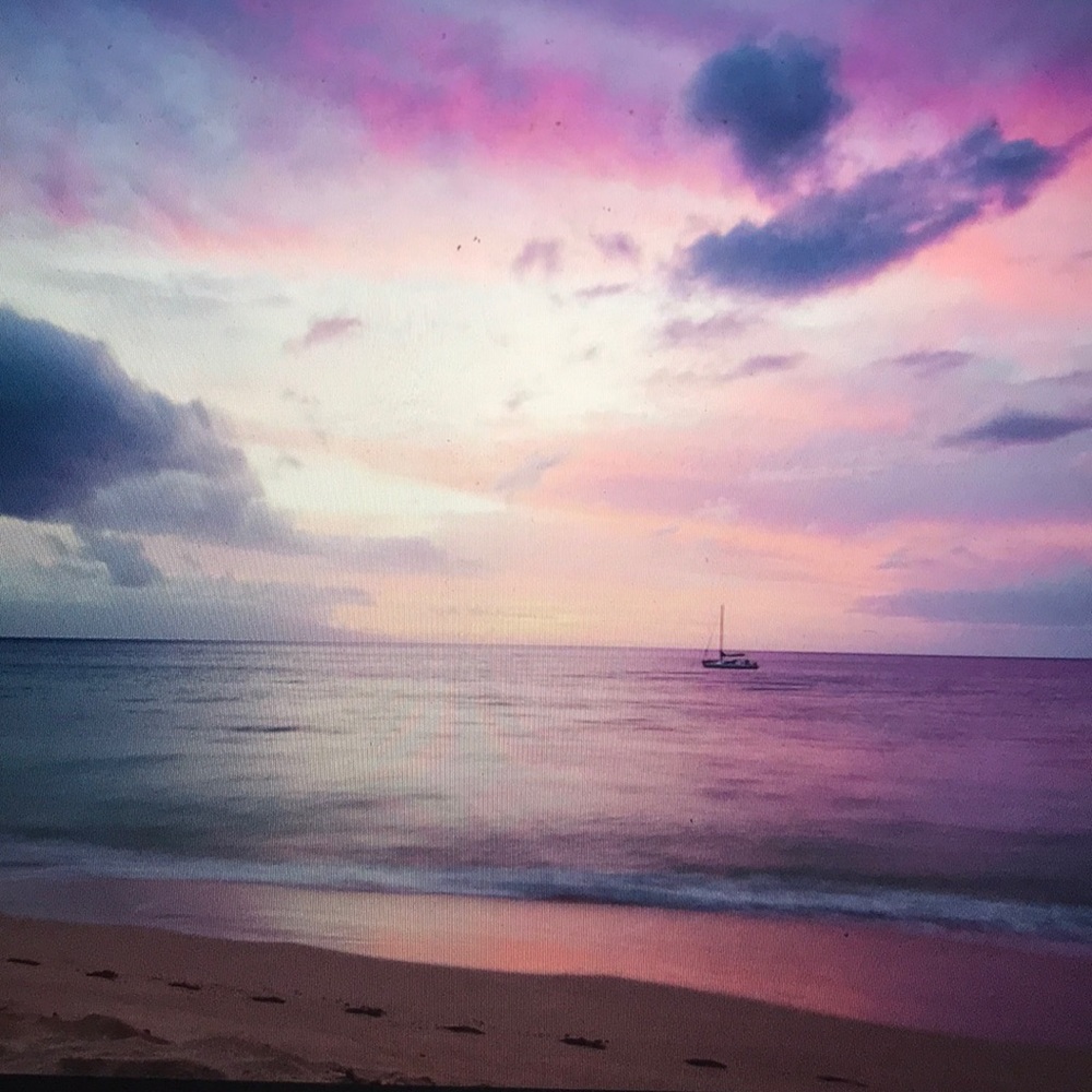 Meet your Posher, Malorie